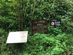 -太湖源风景区