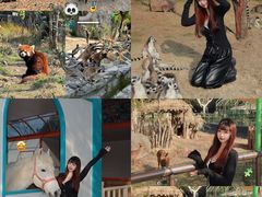 -宁波野生动物园