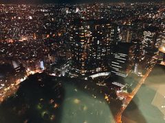 -东京都厅舍