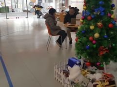 -斯坦星球AI编程·机器人科创·科学实验·信奥·思维·STEM·积木拼搭·竞赛考级(浦东联洋广场大拇指龙阳御桥中心)