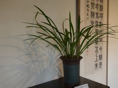 -成都杜甫草堂博物馆