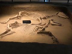 -洛阳周王城天子驾六博物馆