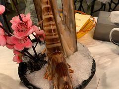 -鲜入围煮花胶鸡海鲜火锅