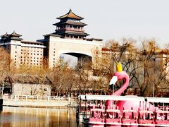 -莲花池公园