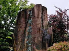 -昆山城市生态森林公园