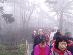 -庐山风景区花径公园
