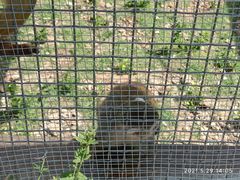 -石家庄市动物园