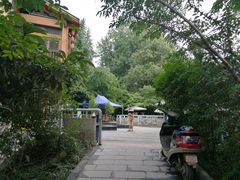 -成都市活水公园