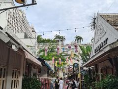 -西双版纳原始森林公园