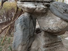 -莲湖公园