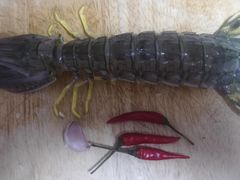 -江杨农产品批发市场