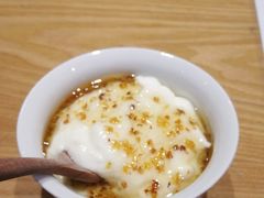 -古树酸奶(八廓南街店)