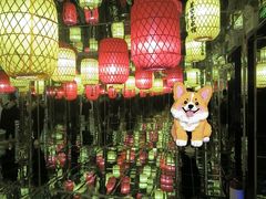 -深圳独角兽星空艺术馆