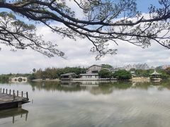 -江心屿景区