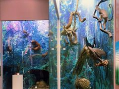 -国家自然博物馆