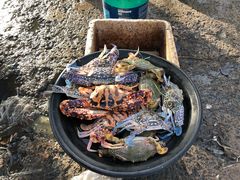 -仙本那小型鱼市