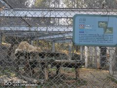 -合肥野生动物园