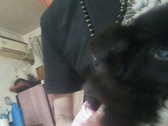 -爱侣宠医·鹦鹉专科·小型哺乳类·异宠专科(灵石路店)