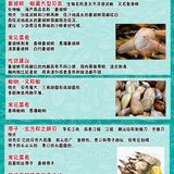 三亚旅游攻略 三亚美食 三亚 三亚自由行
