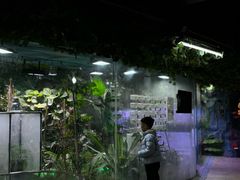 -上海大自然野生昆虫馆(东方明珠·爬宠昆虫探索中心)