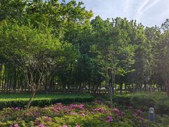 -白塘生态植物园
