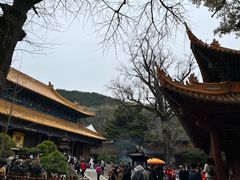 -普陀山风景名胜区-法雨禅寺