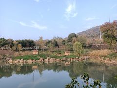 -合肥野生动物园