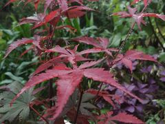 -谭家菜农夫山庄