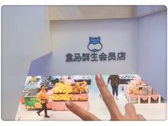-盒马鲜生(大成店)