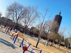 -西海子公园