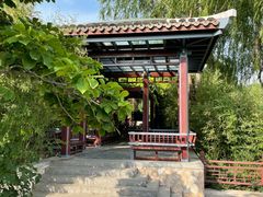 -北坞公园