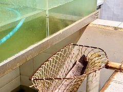 -九寨沟石锅鱼(沣峪口二十年店)