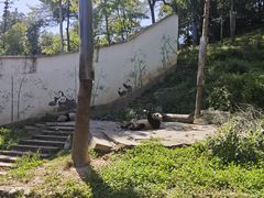 -中国大熊猫保护研究中心雅安碧峰峡基地