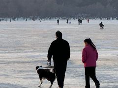 -长春市南湖公园