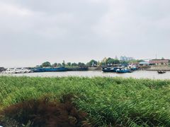 -瀛洲公园
