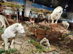 -陕西自然博物馆