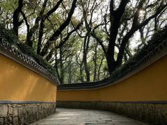 -普陀山风景区-佛顶山