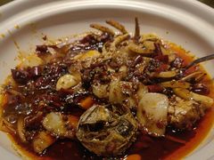-刘胖子家常菜·蹄花焖藕(富安街店)