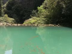 -龙水峡地缝景区