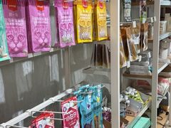 -集宠猫柠宠物生活馆