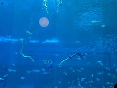 -南昌融创海世界