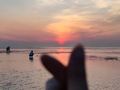 -南汇嘴观海公园