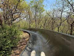 -富斯特索道