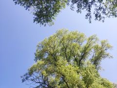 -长春市南湖公园