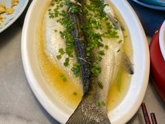 -京城小江南·北京烤鸭·江南土菜·白鱼(中关村店)
