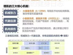 -UP健身私教馆(南山书城店)