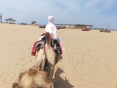 -黄沙古渡原生态旅游区