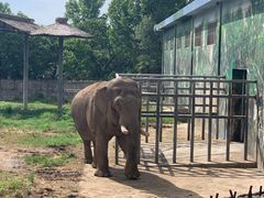 -西安秦岭野生动物园