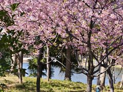 -新江湾城公园