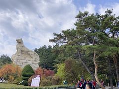 -帽儿山国家森林公园